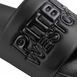 PITBULL SEASCAPE SLIDE 1 1