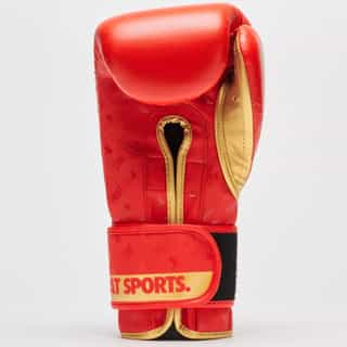 боксови ръкавици leone dna red 2