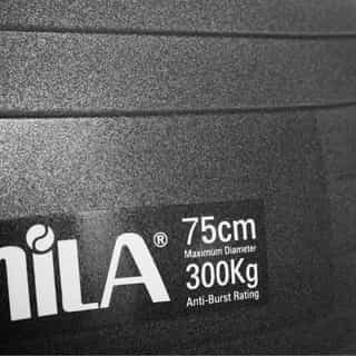 opka za gimanstika amila fitness 75см black 1 топка за гимнастика amila fitness 75см black 1