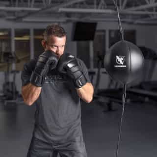 byrza dvoina krusha hayabusa classic double end bag 3 бърза двойна круша hayabusa classic double end bag 3