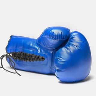 boksova rykavica blue leone сувенир 1 боксова ръкавица blue leone сувенир 1