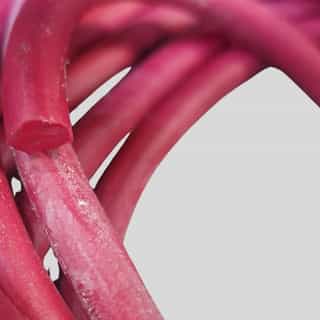 lastik za borba fitnes krosfit boini sportove 8mm 2 ластик за борба / фитнес / кросфит / бойни спортове 8мм 3