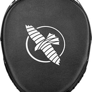 hayabusa pts3 micro front