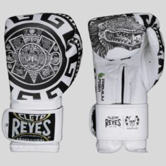 боксови ръкавици cleto reyes fiber calendario azteco prison art