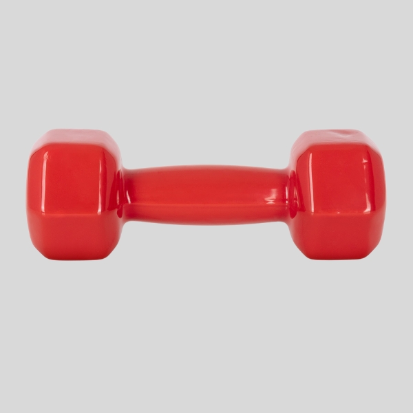 Гири Amila Vinyl Dumbbell 2x3kg 2