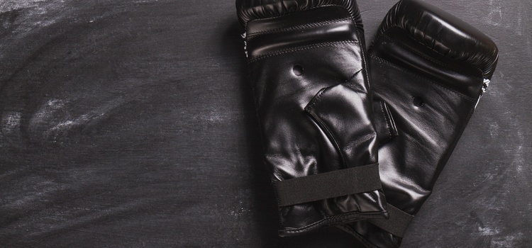 Топ характеристики, които трябва да търсите в MMA ръкавиците