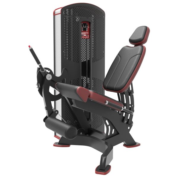 Leg Extension Interatletika XP107