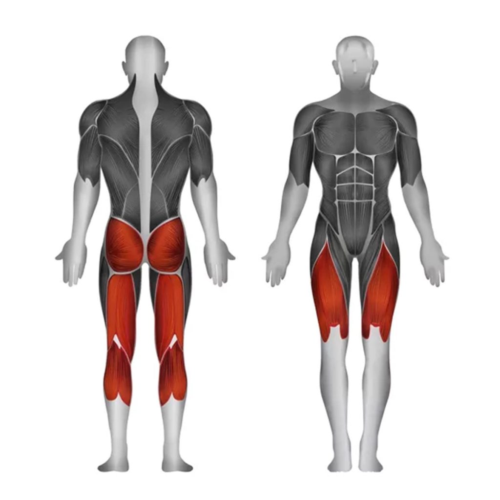 Фитнес уред за клек от стоеж Steelflex PLSS – натоварвани мускули