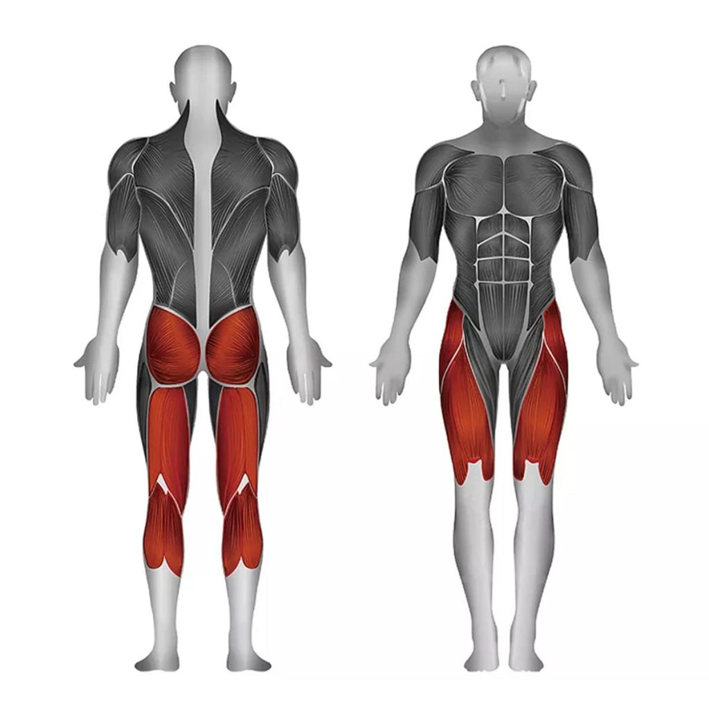 Лег преса Steelflex PLDP – натоварвани мускули