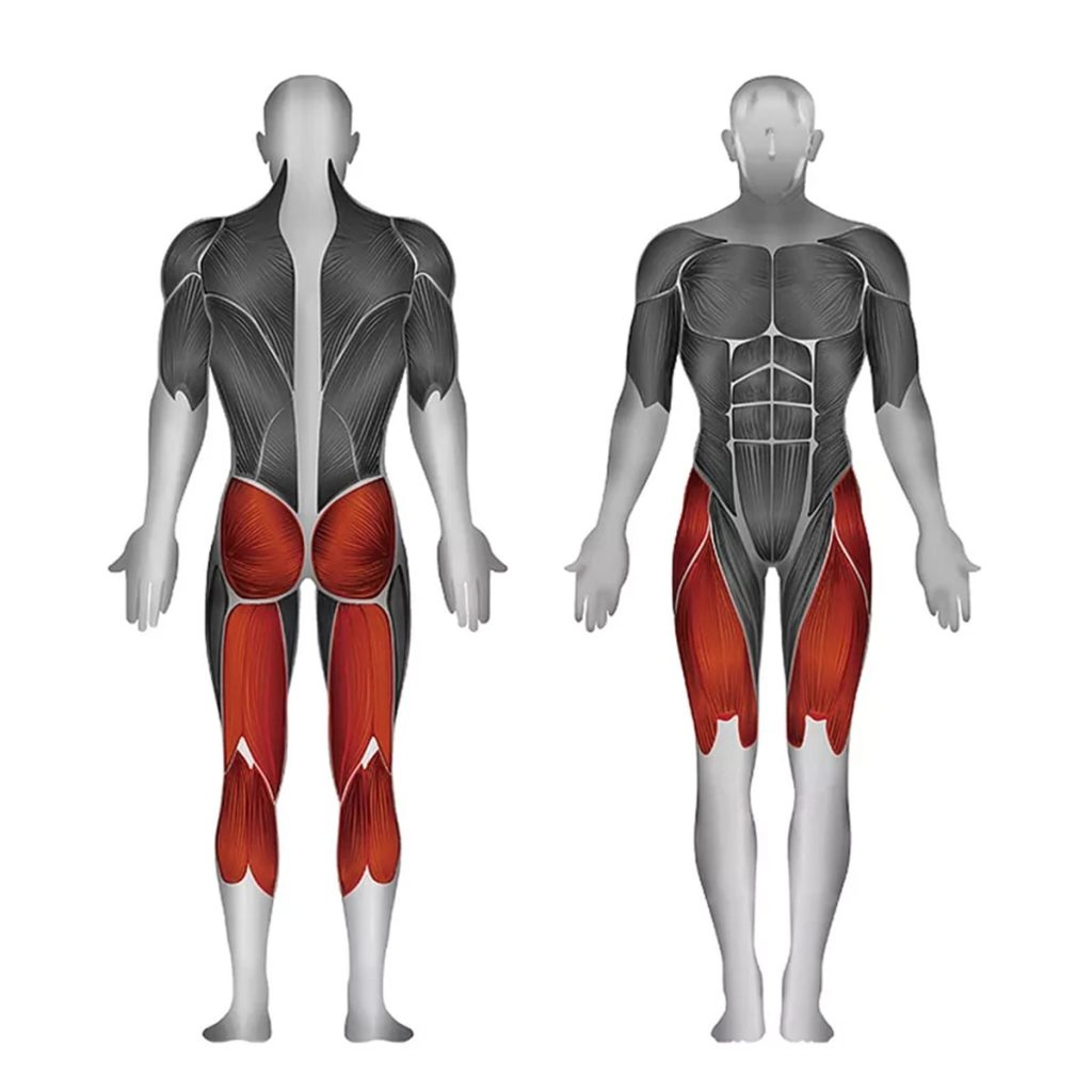Лег преса Steelflex PLLP – натоварвани мускули